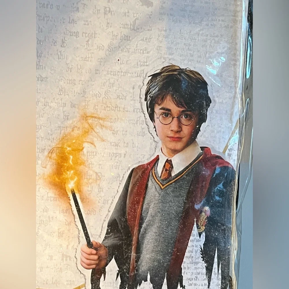 NWT Harry Potter costume made by disguise. Perfect for Halloween.Kids size 10/12